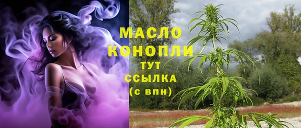 apvp Вяземский
